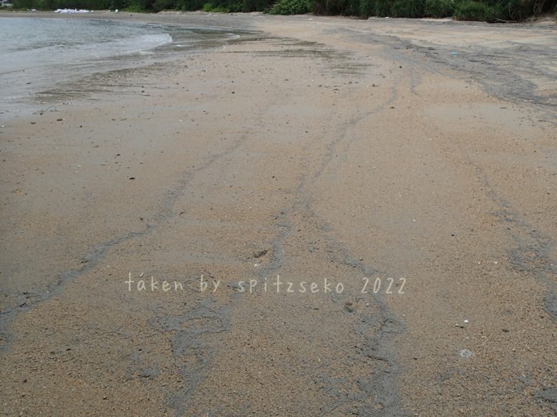 2022/4/17現在、沖縄恩納村マリブビーチ最西端の軽石状況