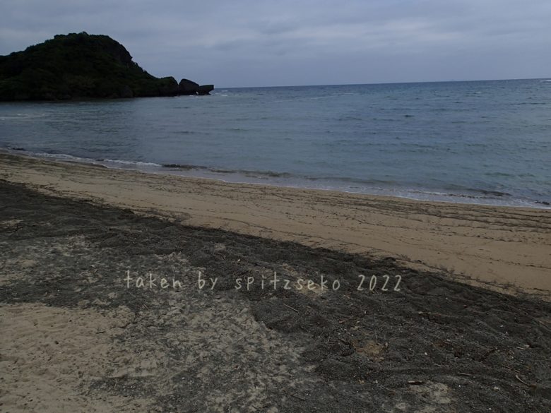 2022/4/17現在、沖縄恩納村マリブビーチ正面、出入り口付近の軽石状況