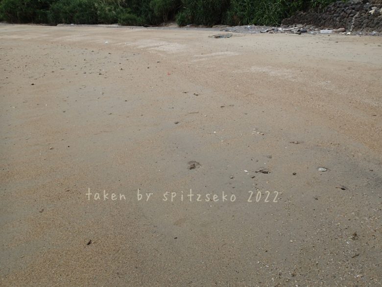 2022/4/18現在、沖縄恩納村マリブビーチ最西端の軽石状況