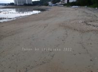 2022/4/20現在、沖縄恩納村マリブビーチ最西端の軽石状況