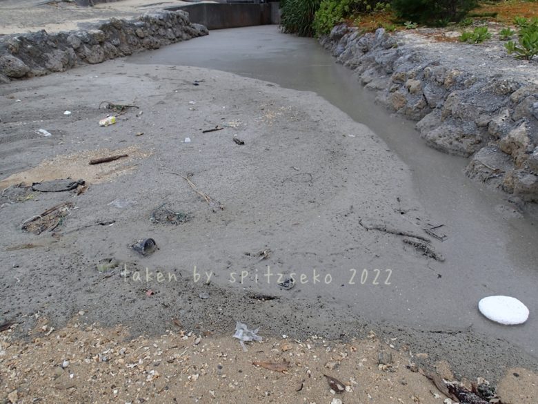 2022/4/20現在、沖縄恩納村マリブビーチ西端の川の軽石状況