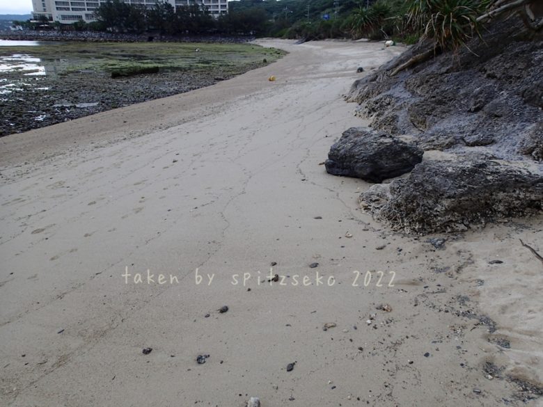 2022/4/20現在、沖縄恩納村マリブビーチ最東端の軽石状況