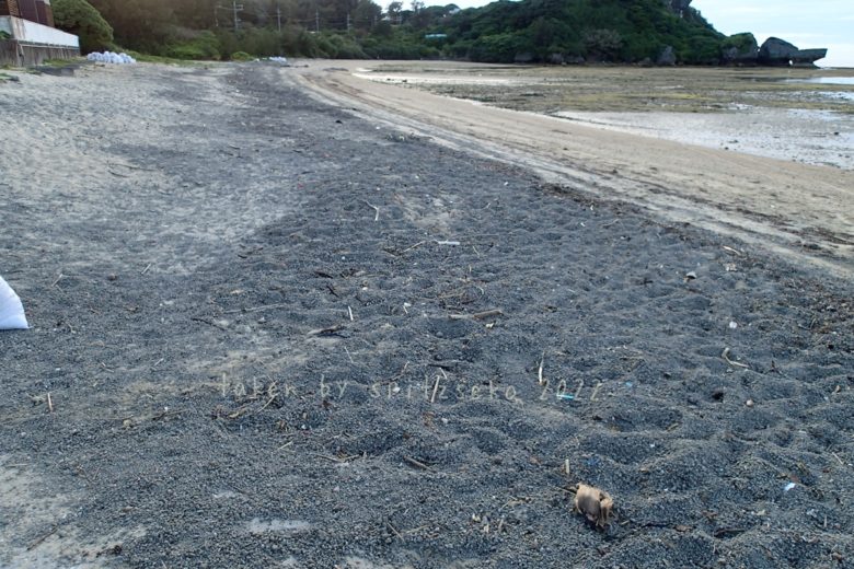2022/4/23現在、沖縄恩納村マリブビーチ正面、出入り口付近の軽石状況
