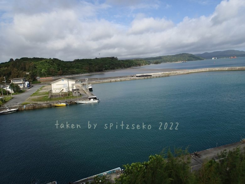 2022/4/27現在、沖縄名護市仲尾次漁港の軽石状況