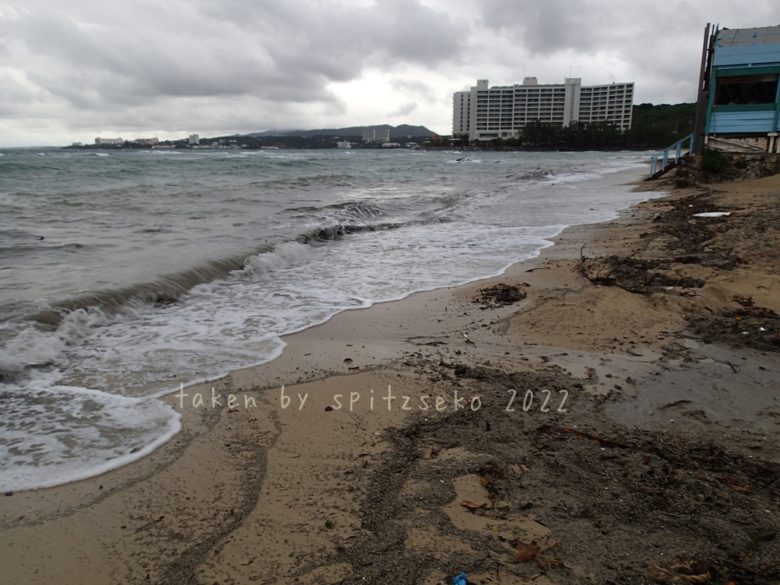 2022/5/16現在、沖縄恩納村マリブビーチ正面出入り口付近の軽石状況