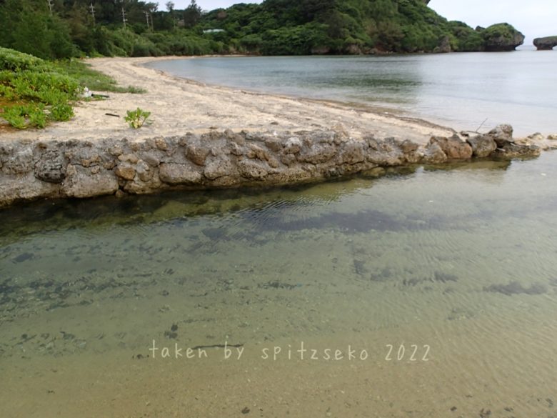 2022/5/30現在、沖縄恩納村マリブビーチ西端の軽石状況