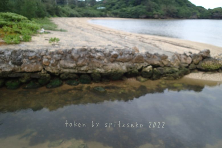 2022/6/9現在、沖縄恩納村マリブビーチ西端の軽石状況