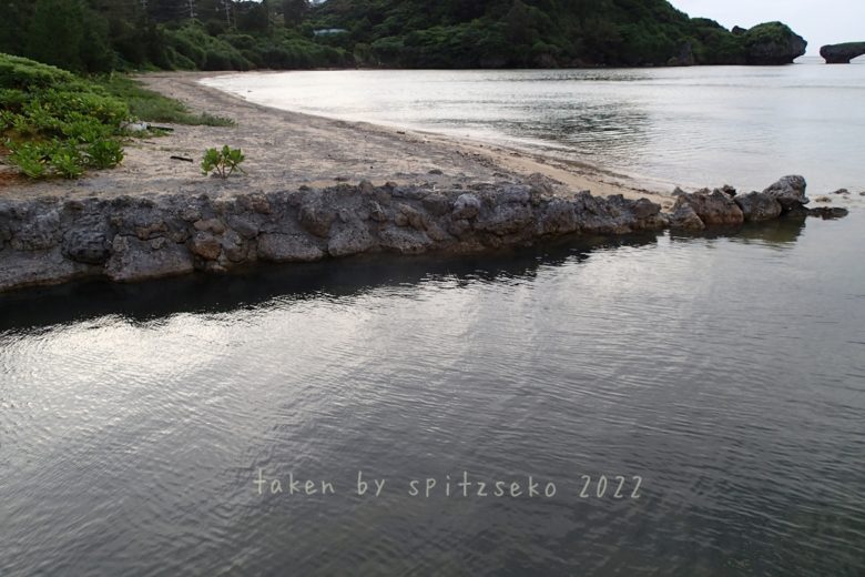 2022/6/13現在、沖縄恩納村マリブビーチ西端の軽石状況
