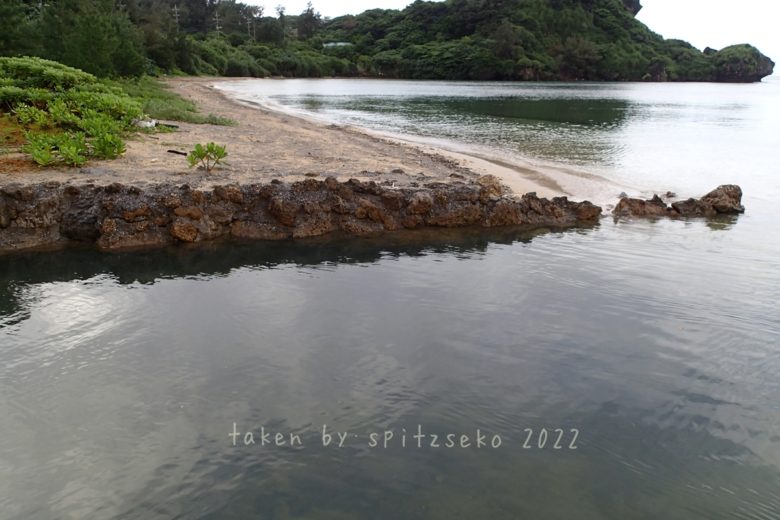 2022/6/14現在、沖縄恩納村マリブビーチ西端の軽石状況