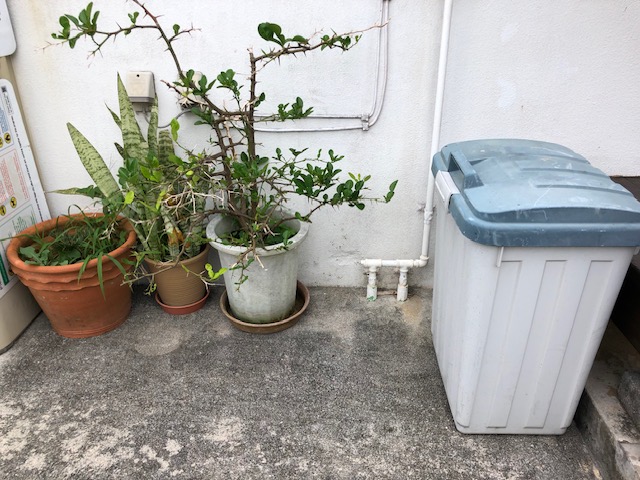 風裏の屋外に植木鉢を放置